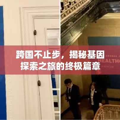 跨国不止步,揭秘基因探索之旅的终极篇章