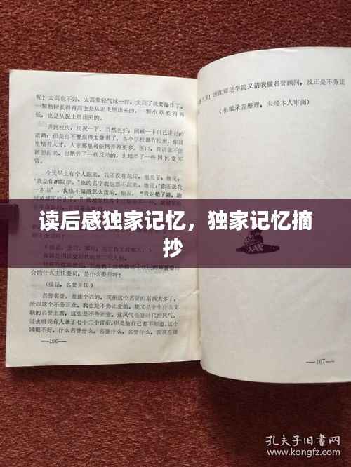 读后感独家记忆,独家记忆摘抄