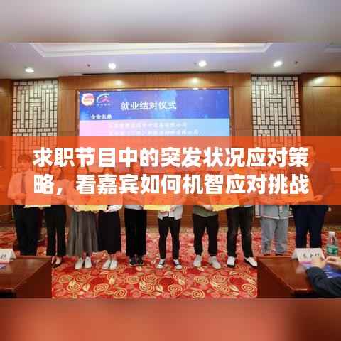 求职节目中的突发状况应对策略,看嘉宾如何机智应对挑战!