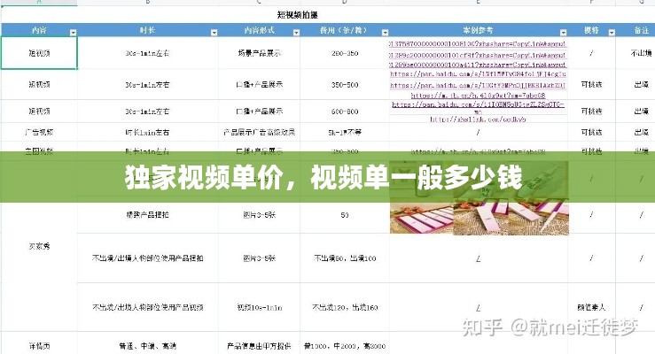 独家视频单价,视频单一般多少钱