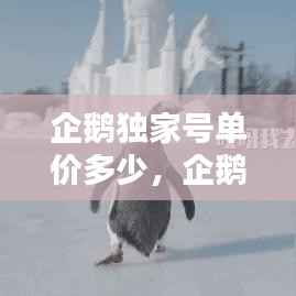 企鹅独家号单价多少,企鹅号最新原创单价