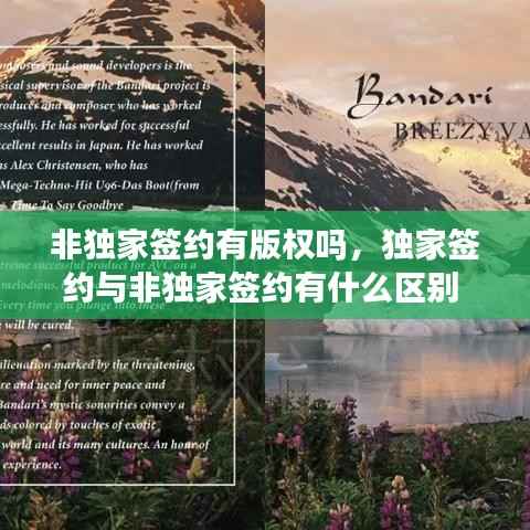 非独家签约有版权吗，独家签约与非独家签约有什么区别 