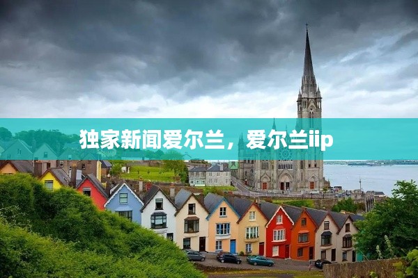 独家新闻爱尔兰,爱尔兰iip