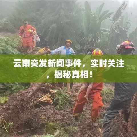 云南突发新闻事件，实时关注，揭秘真相！