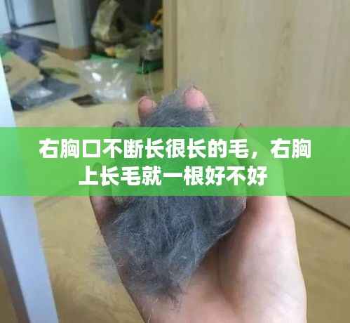 右胸口不断长很长的毛，右胸上长毛就一根好不好 