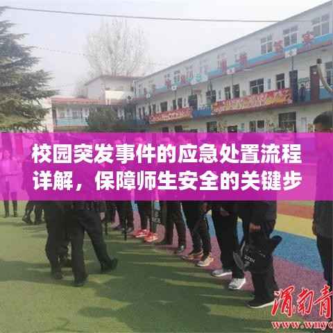 校园突发事件的应急处置流程详解,保障师生安全的关键步骤!