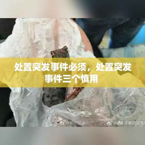 处置突发事件必须，处置突发事件三个慎用 