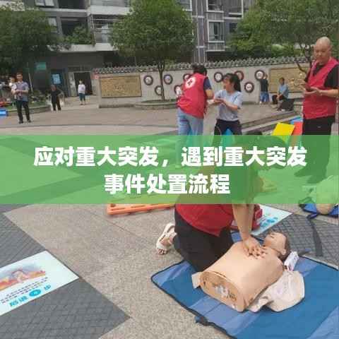 应对重大突发，遇到重大突发事件处置流程 