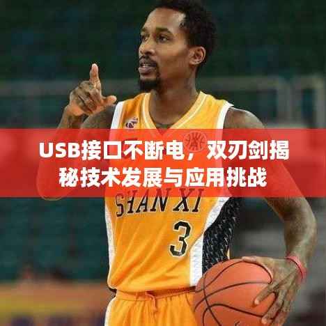 USB接口不断电，双刃剑揭秘技术发展与应用挑战