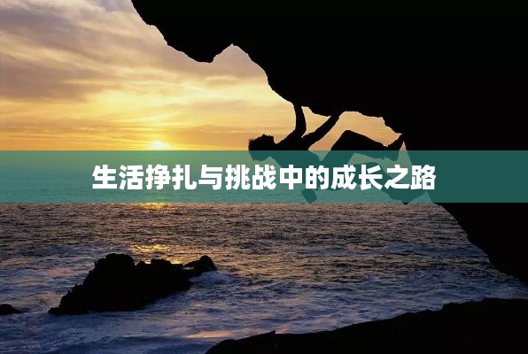 生活挣扎与挑战中的成长之路