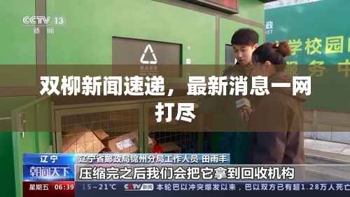 双柳新闻速递，最新消息一网打尽