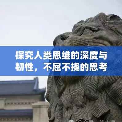 探究人类思维的深度与韧性，不屈不挠的思考力量