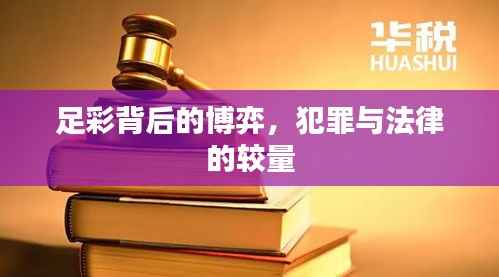 足彩背后的博弈,犯罪与法律的较量