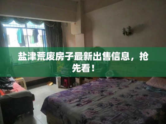 盐津荒废房子最新出售信息，抢先看！