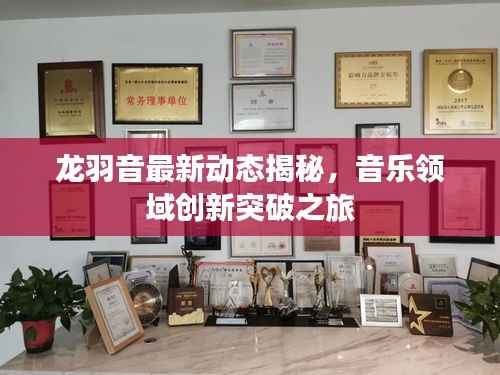龙羽音最新动态揭秘,音乐领域创新突破之旅