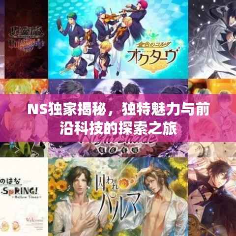 NS独家揭秘,独特魅力与前沿科技的探索之旅