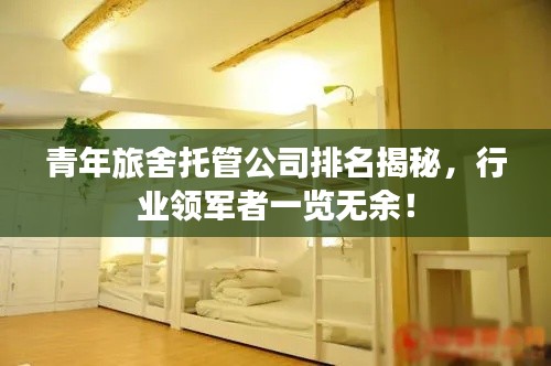 青年旅舍托管公司排名揭秘,行业领军者一览无余!