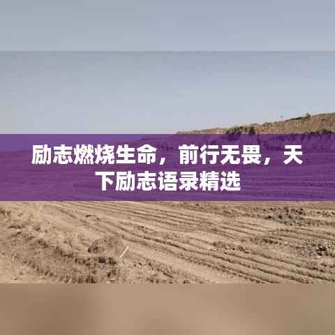 励志燃烧生命,前行无畏,天下励志语录精选