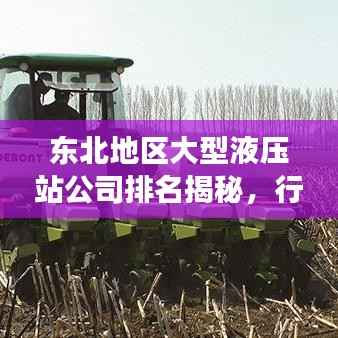东北地区大型液压站公司排名揭秘，行业影响力与竞争力分析