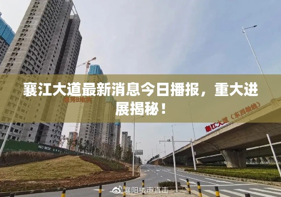 襄江大道最新消息今日播报,重大进展揭秘!