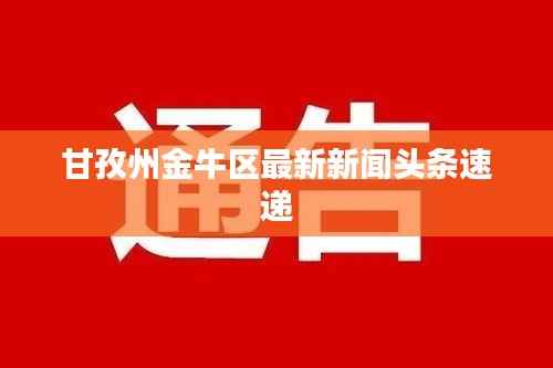 甘孜州金牛区最新新闻头条速递