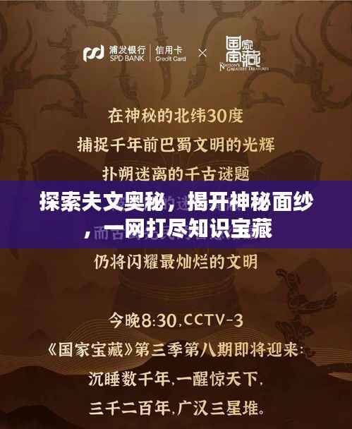 探索夫文奥秘,揭开神秘面纱,一网打尽知识宝藏