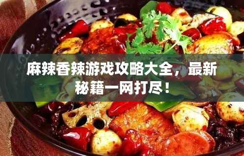 麻辣香辣游戏攻略大全，最新秘籍一网打尽！