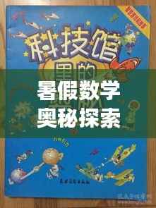 暑假数学奥秘探索之旅,趣味与智慧的碰撞