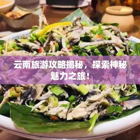 云南旅游攻略揭秘,探索神秘魅力之旅!