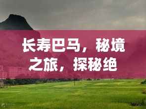 长寿巴马,秘境之旅,探秘绝美风光与养生胜地攻略