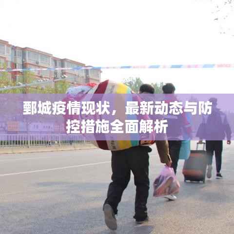 鄄城疫情现状，最新动态与防控措施全面解析