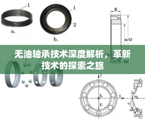 yishisanniao 第7页