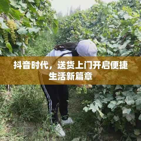 抖音时代，送货上门开启便捷生活新篇章