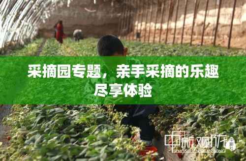 采摘园专题，亲手采摘的乐趣尽享体验