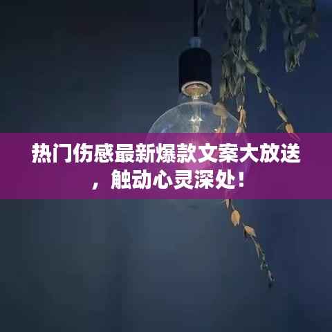 商品分类 第110页