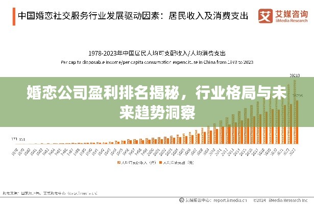 婚恋公司盈利排名揭秘,行业格局与未来趋势洞察
