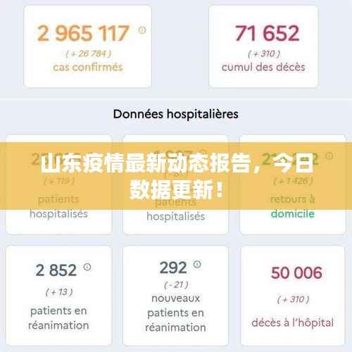 山东疫情最新动态报告,今日数据更新!