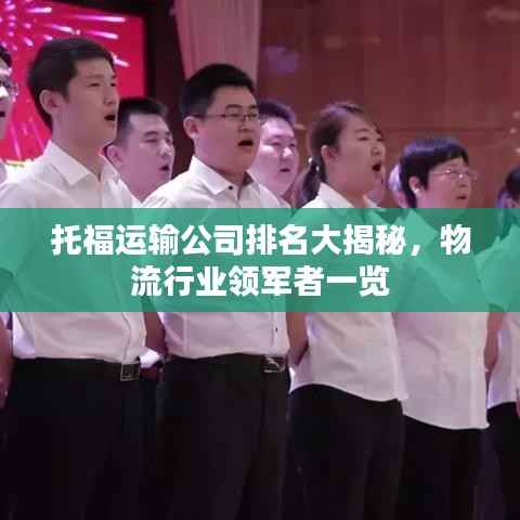 托福运输公司排名大揭秘，物流行业领军者一览