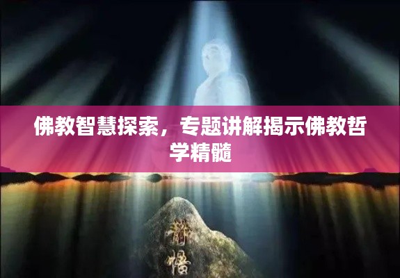 佛教智慧探索,专题讲解揭示佛教哲学精髓