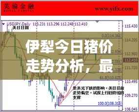 zhengjinweizuo 第6页