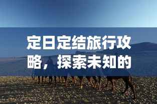 定日定结旅行攻略,探索未知的神秘之旅!