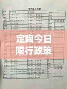 定陶今日限行政策解读,最新规定一览