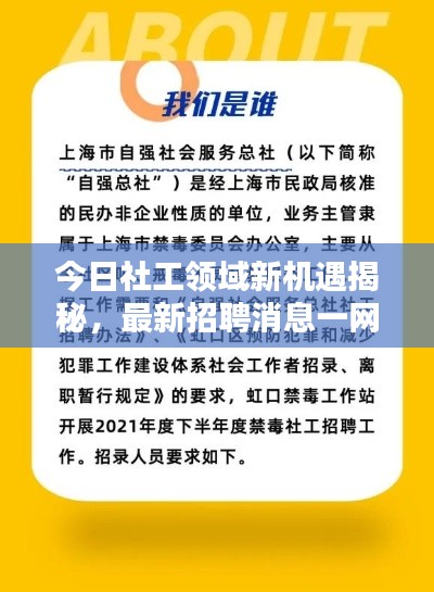 今日社工领域新机遇揭秘,最新招聘消息一网打尽