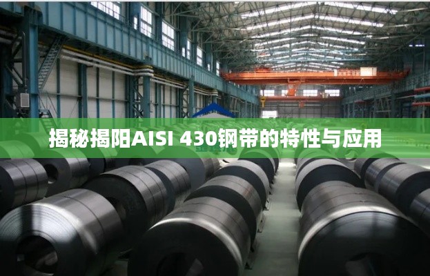 揭秘揭阳AISI 430钢带的特性与应用