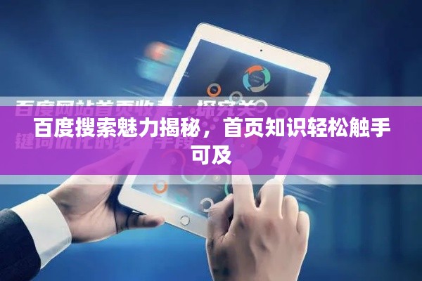 百度搜索魅力揭秘,首页知识轻松触手可及
