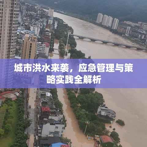 城市洪水来袭，应急管理与策略实践全解析