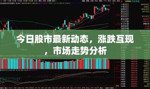今日股市最新动态,涨跌互现,市场走势分析