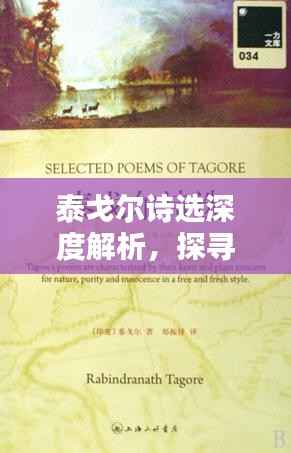 商品分类 第82页