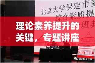 理论素养提升的关键，专题讲座的重要性与价值解析