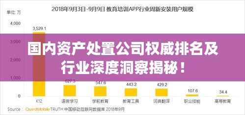 国内资产处置公司权威排名及行业深度洞察揭秘!